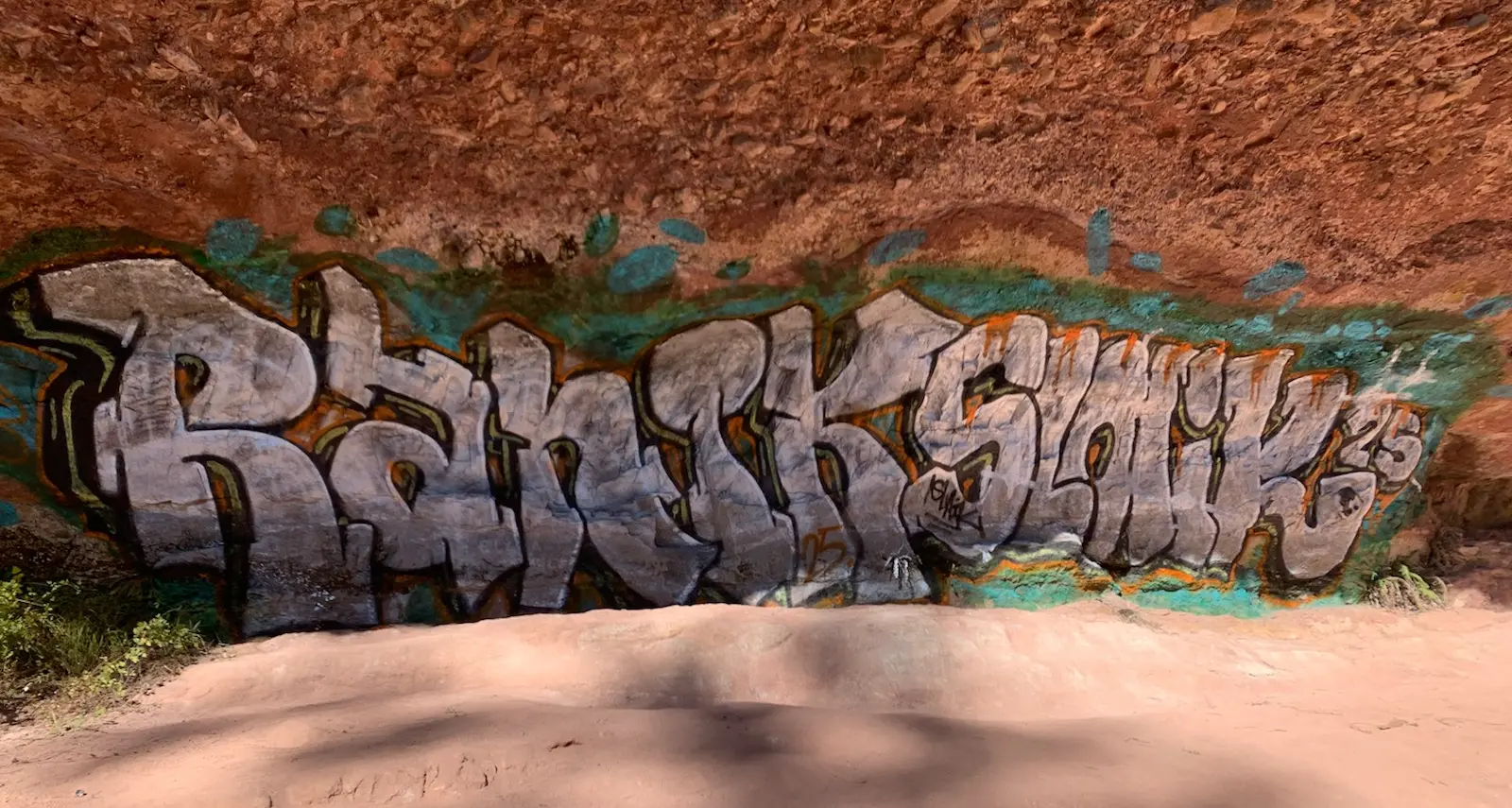 Alleged Paradise Falls vandal to admit graffiti, co-accused wanted on warrant