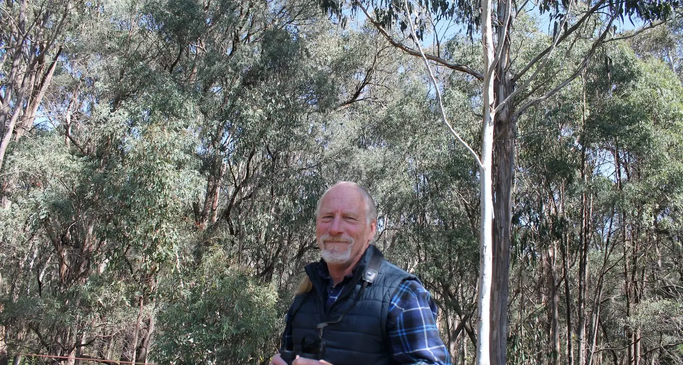 Talk on southern greater gliders