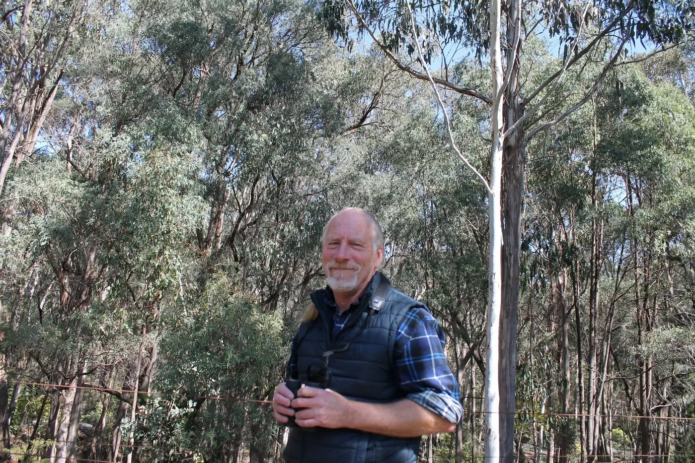 ON THE LOOKOUT: Stanley\\u2019s Jim Blackney and a Mid Ovens Landcare Consortium facilitator is researching southern greater gliders in the Indigo area.