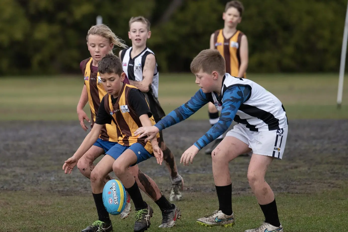 GROWING RANKS: Junior football and Auskick participation, have been one of the driving forces behind increased football in the North East and Border region. PHOTO: Melissa Beattie