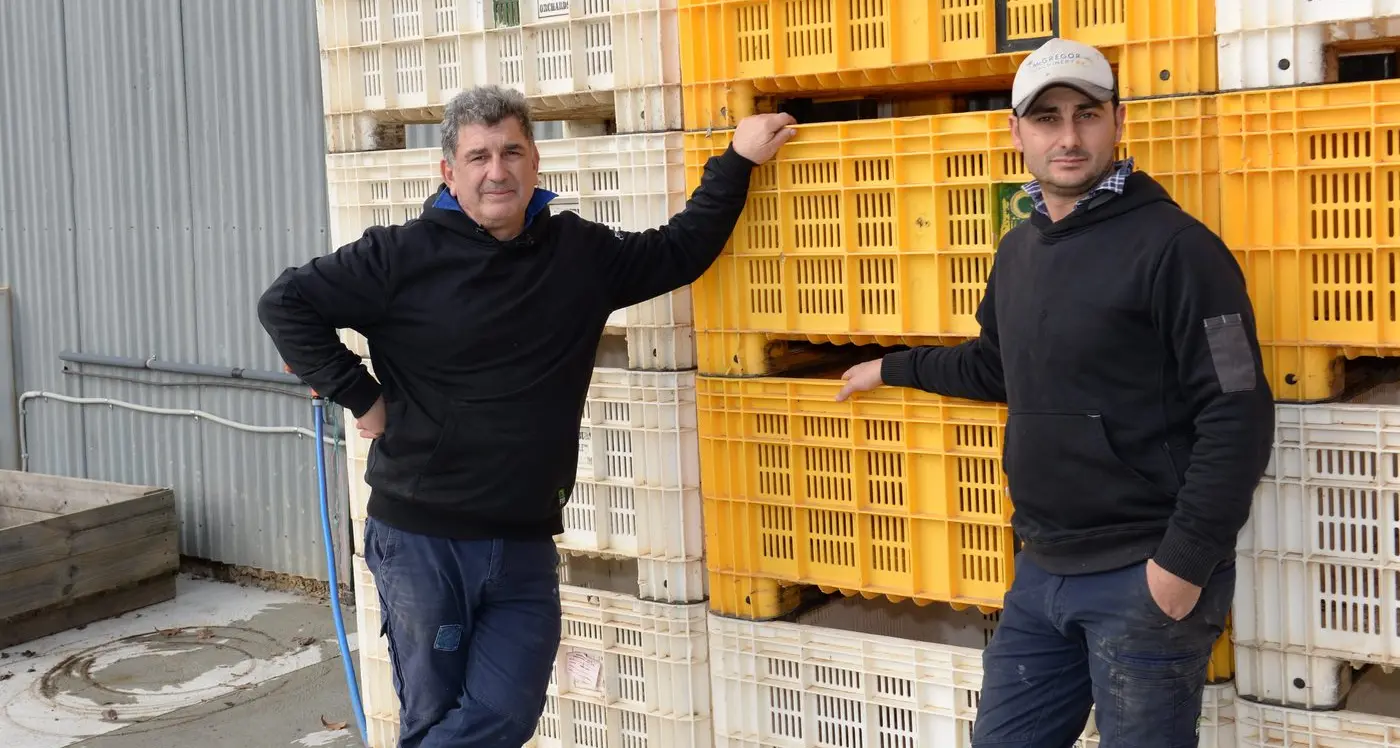 Labour shortages hit North East farmers