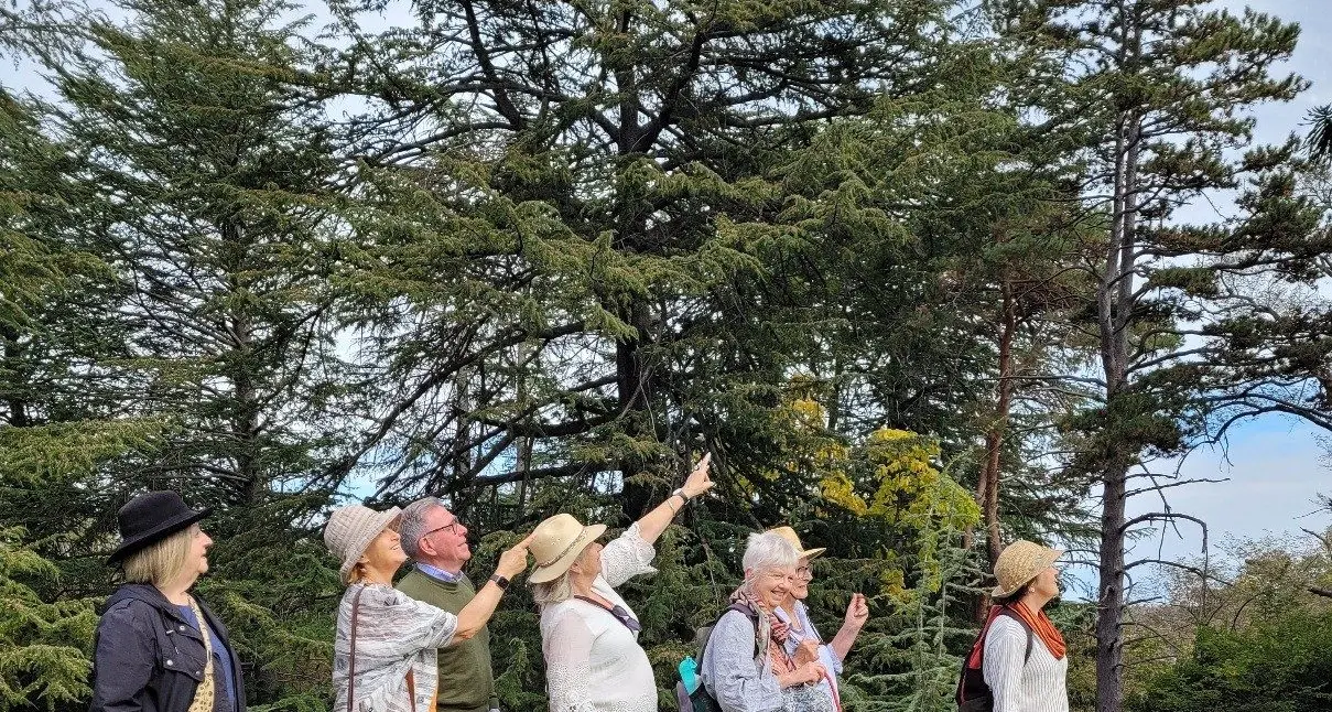 Tree walkers branch out