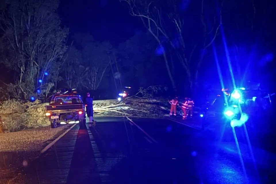 TREE DOWN: Chiltern SES responded to multiple incidents of tree falls during Wednesday night\\'s downpour.