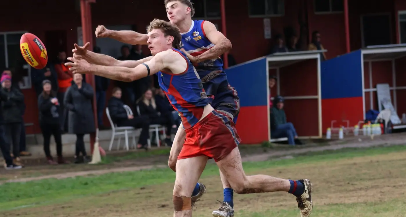 Bushies’ face elimination