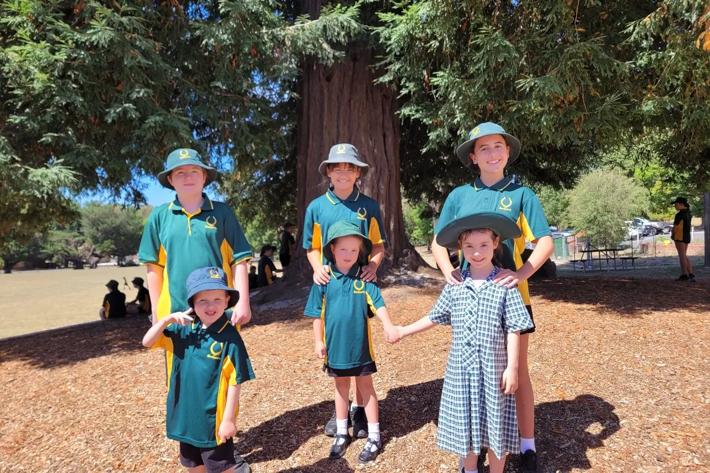 BUDDIED UP: Year 6 Beechworth Primary School students Hunter Erickson (back left), Lanna Quayle, Lily Jobson with foundation youngsters Atlas Weston (front left), Harriet Mason and Esme Halleur under the fairy tree where students gather at the beginning of their primary school journey and gather when they finish. PHOTOS: Coral Cooksley