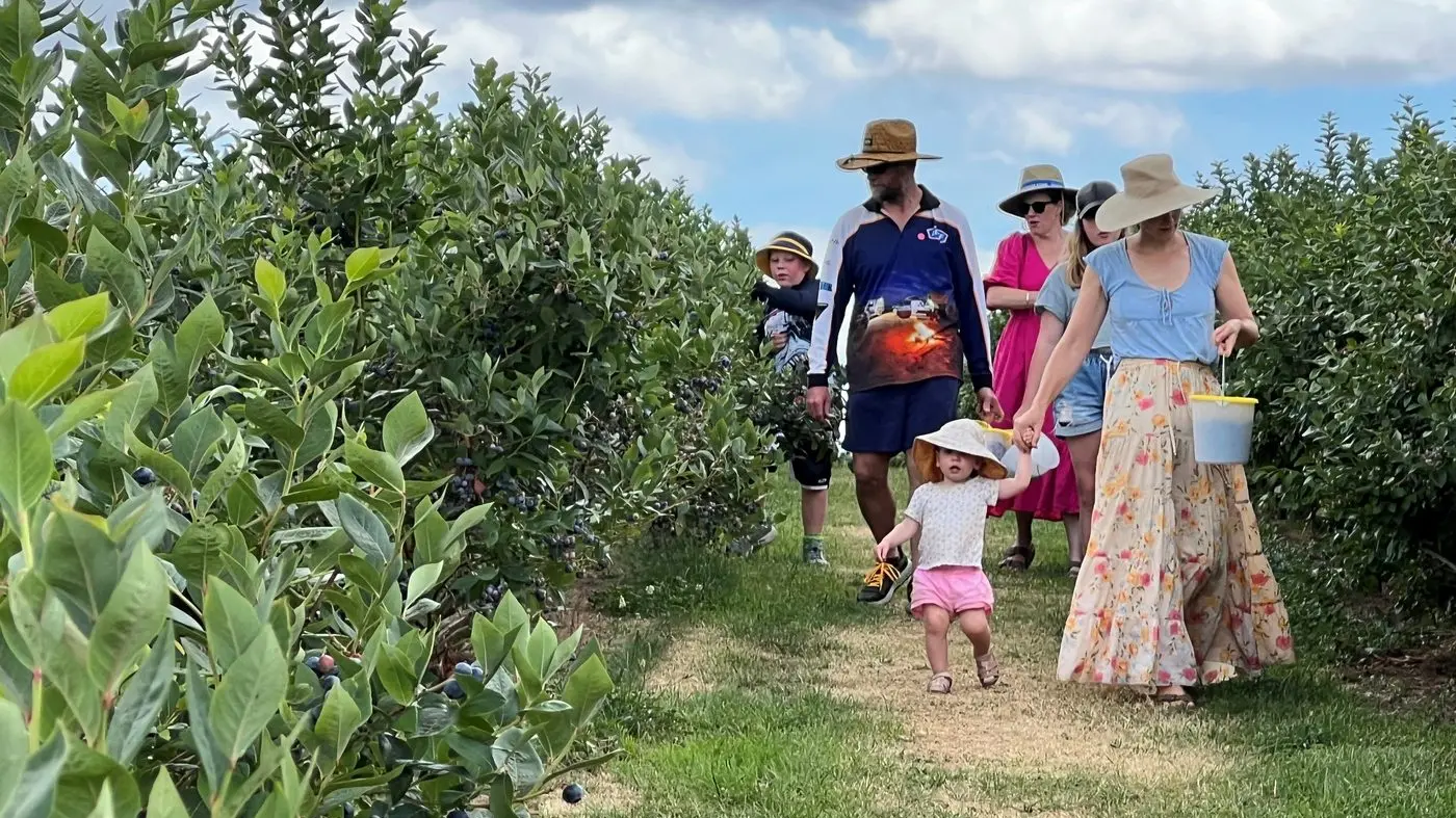 Higher spend, lower visitation for Indigo Shire