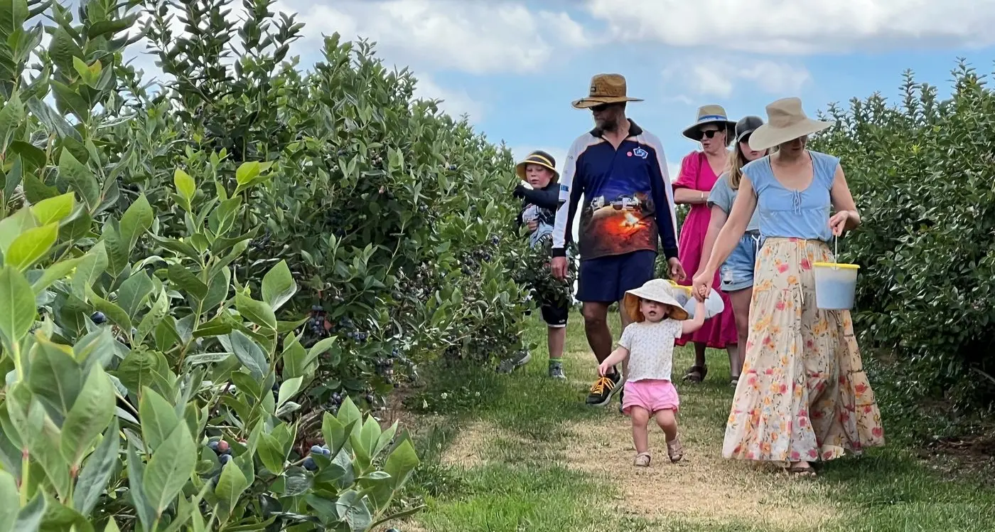 Higher spend, lower visitation for Indigo Shire