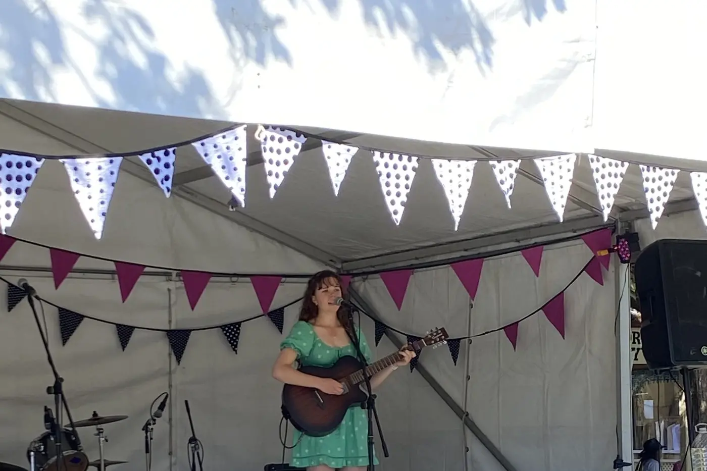 FIRST PERFORMANCE: Amelia Frankel performed on the Emerging Artist\\'s Stage for the first time this year. PHOTO: Sage Davidson