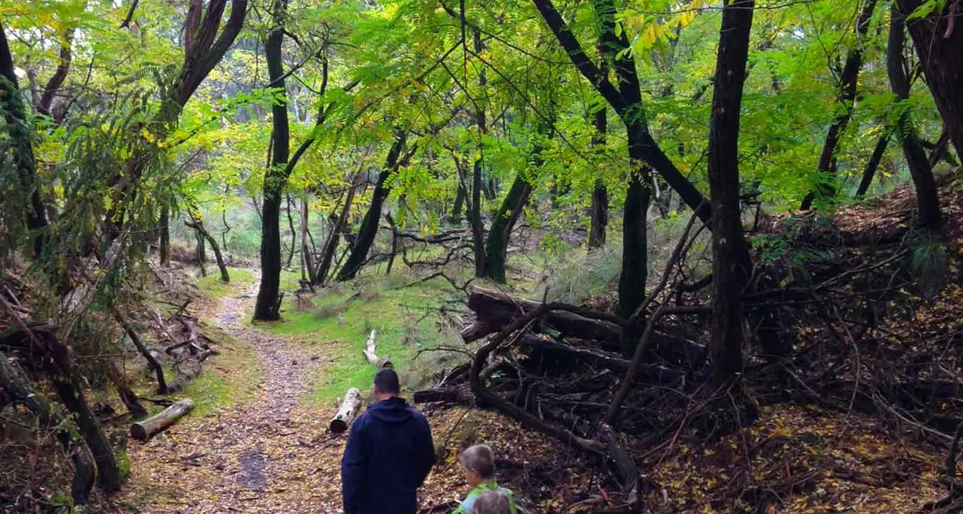 Action at last on attractions