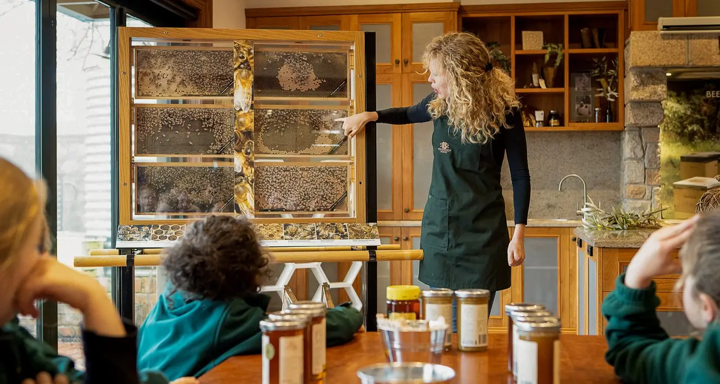 School holidays a buzz at bee school