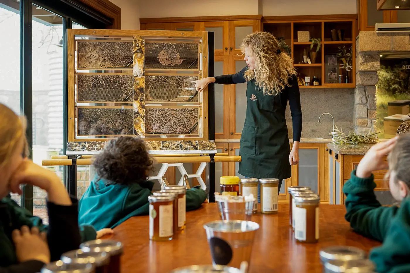 BUSY BEES: Beechworth Honey\\'s Bee School hosted school holiday workshops for children aged four to 11-years-old.