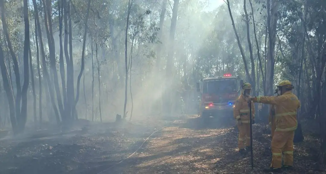 2000m2 Beechworth grass and scrub fire contained