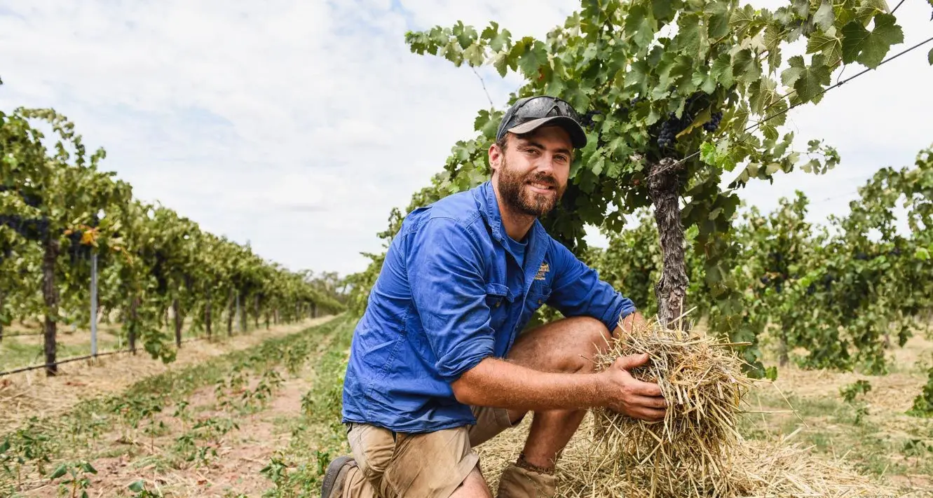 Local winery named among nation's best