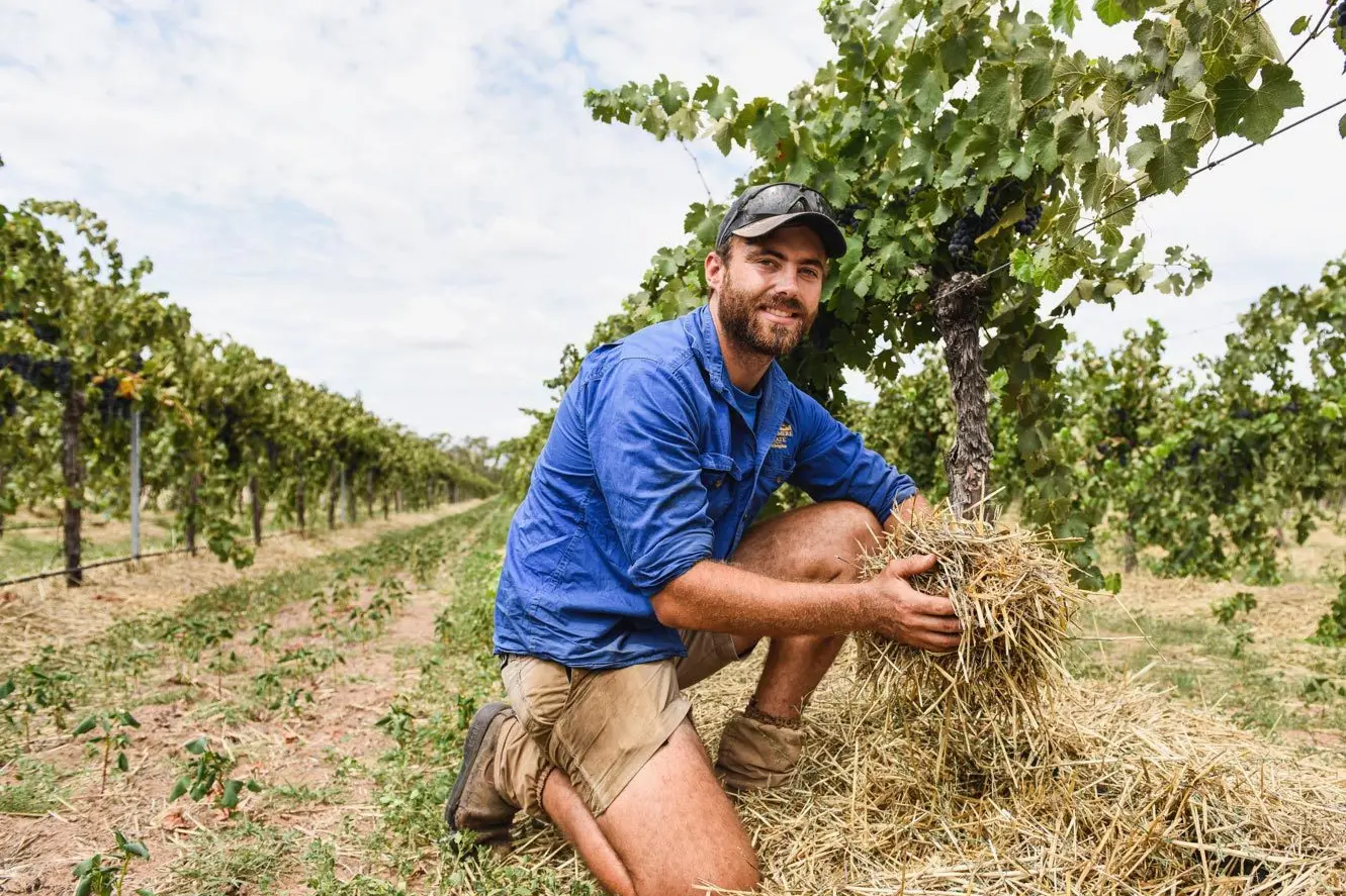 Saved in Q Drive O&M as LAke Moodemere....\\nMAJOR ACKNOWLEDGEMENT: Lake Moodemere Estate vineyard manager Joel Chambers and his team recently received national recognition.