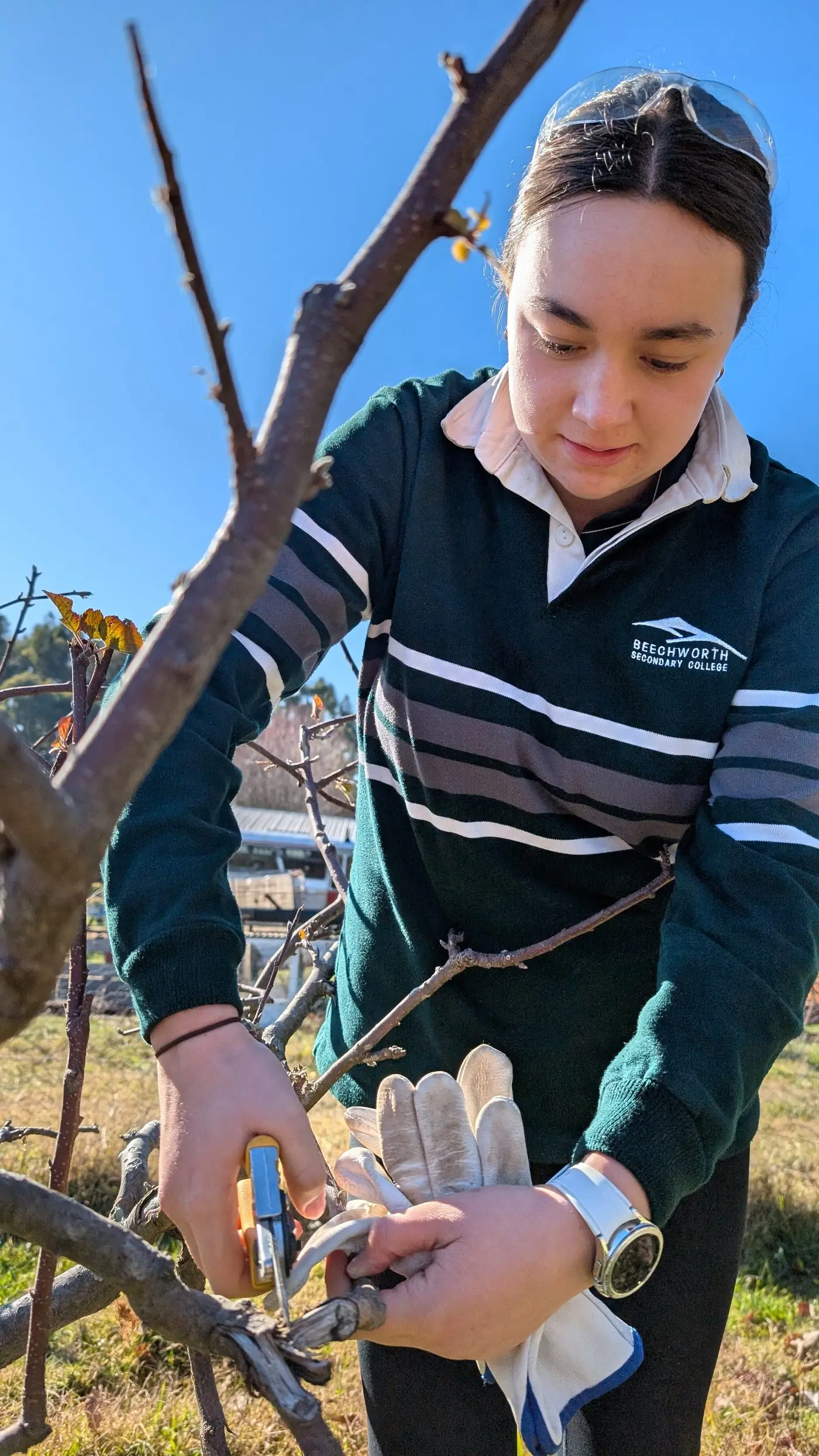 STUDY OPTIONS: Beechworth Secondary College student Jordi Williams has opted for the new Ag Horticulture course offered at the school.