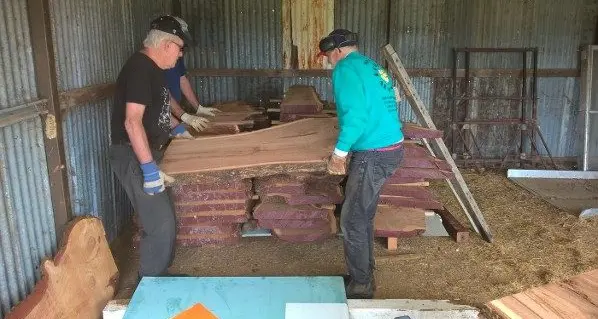 Felled trees yield slabs for history to live on