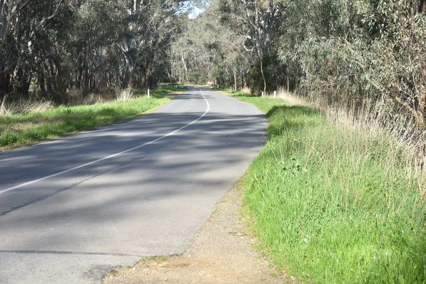 ROAD TO RUIN: If re-elected Helen Haines will fight to have $500 million allocated under the Local Roads and Community Infrastructure Program which councils could access.