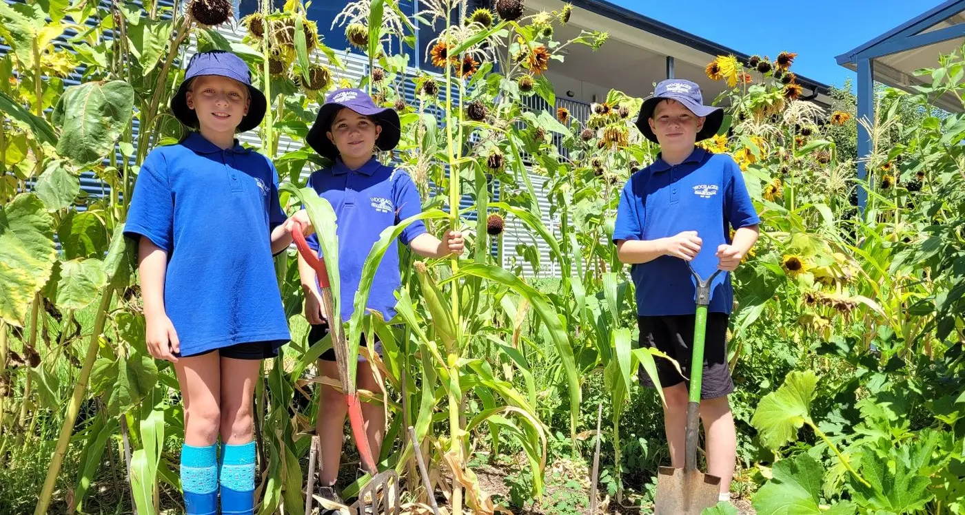 Chance for schools to win sustainability awards