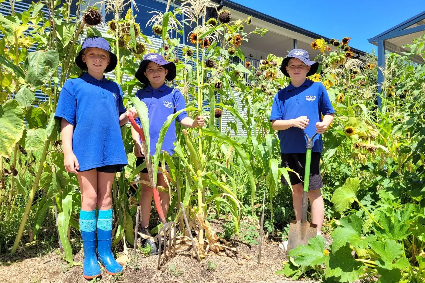 LEARNERS: Wooragee Primary youngsters Winnie (left), Darcy and Ryder enjoy learning about sustainability practices at the school. PHOTO: Coral Cooksley