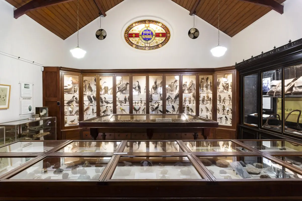 ENHANCED: Burke Museum\\'s collections display will be improved even further thanks to State Government funding. Id:26808