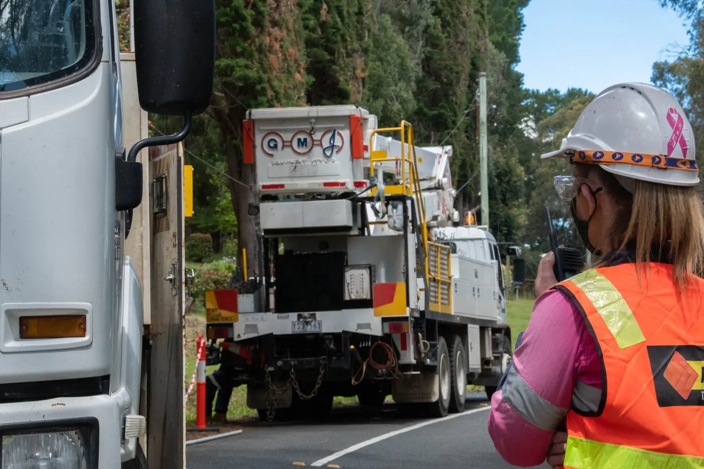 FIXED: AusNet crews discovered bark across the network had tripped the line