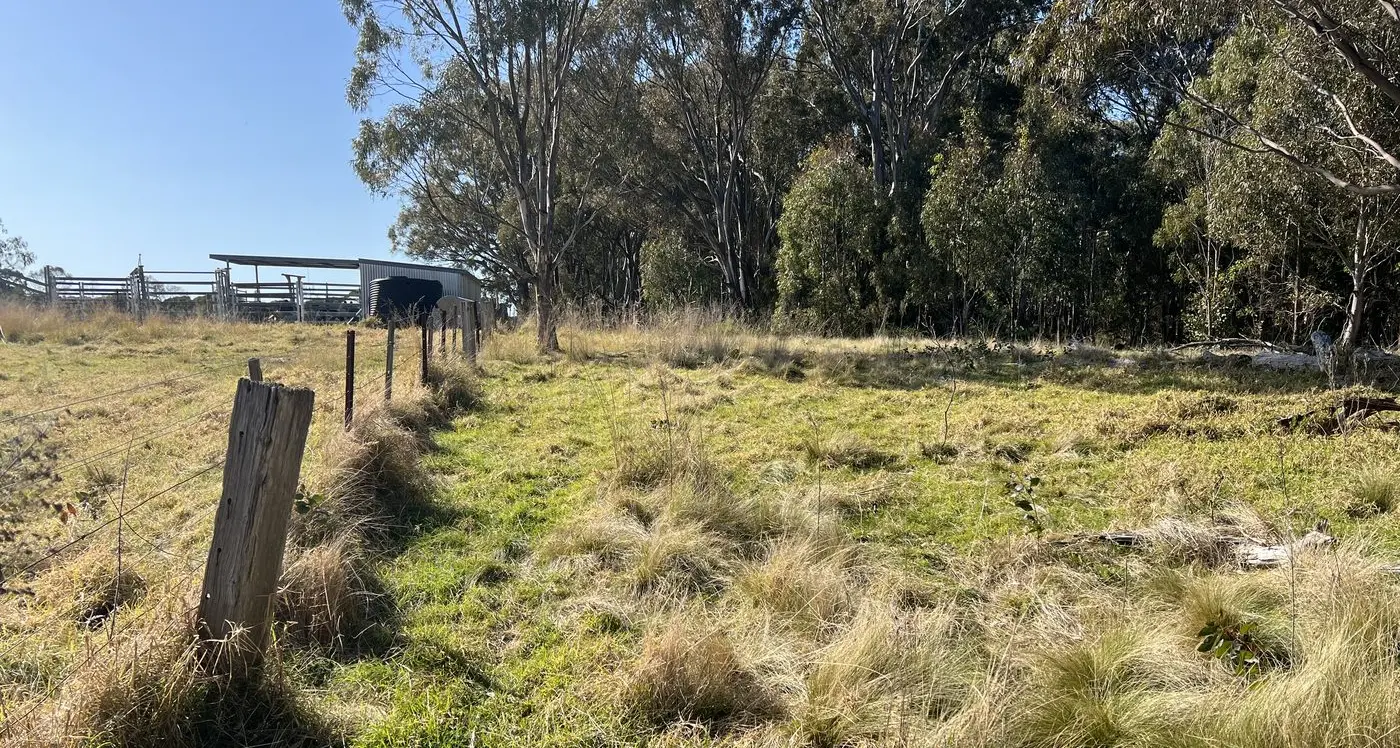 Tackling invasive weeds and animals at the public/private interface – Webinar