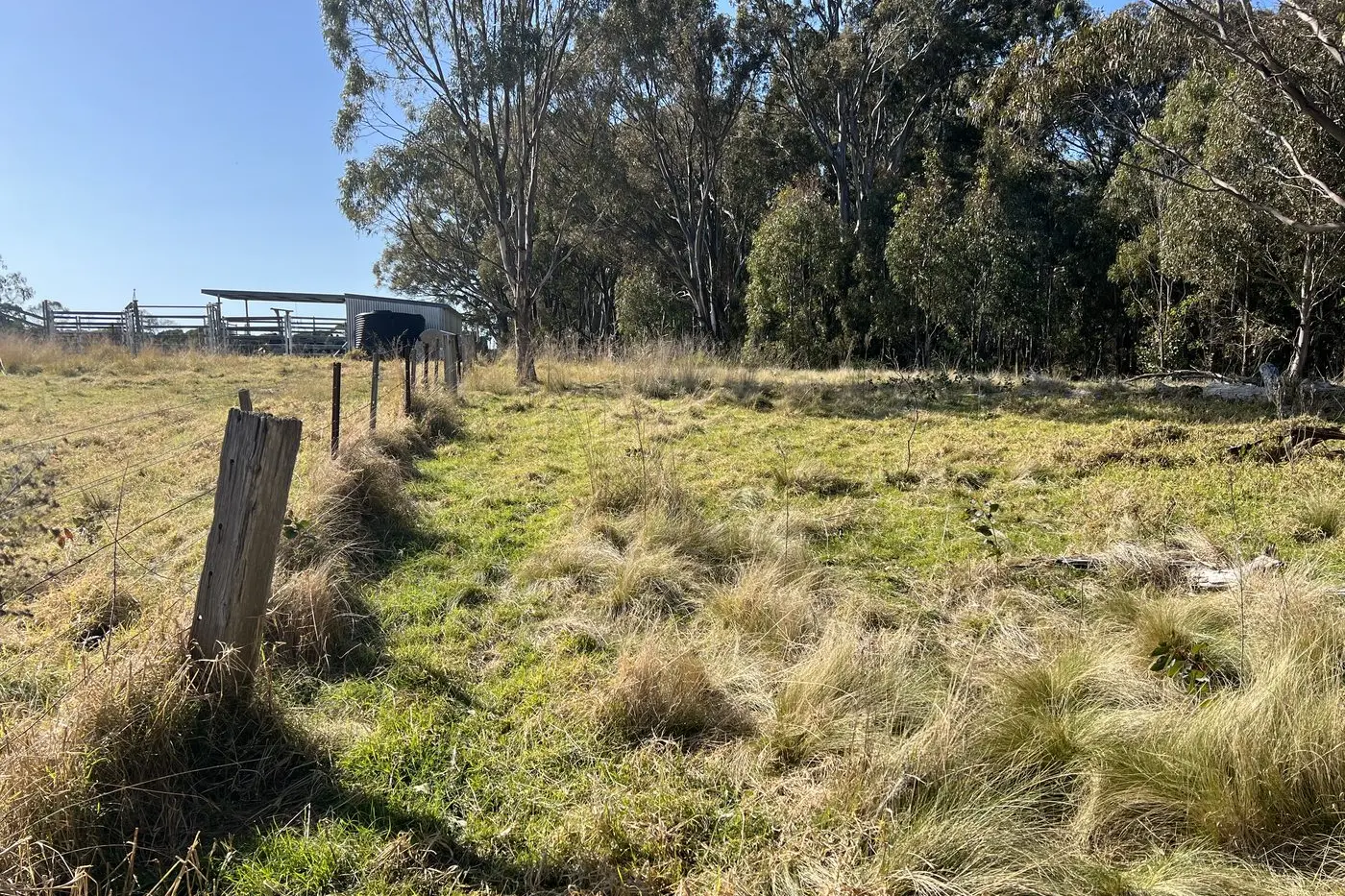 SHARED COMMITMENT: Learn about how a coordinated and prioritised approach by private and public landholders can treat invasive weeds. Id:40848