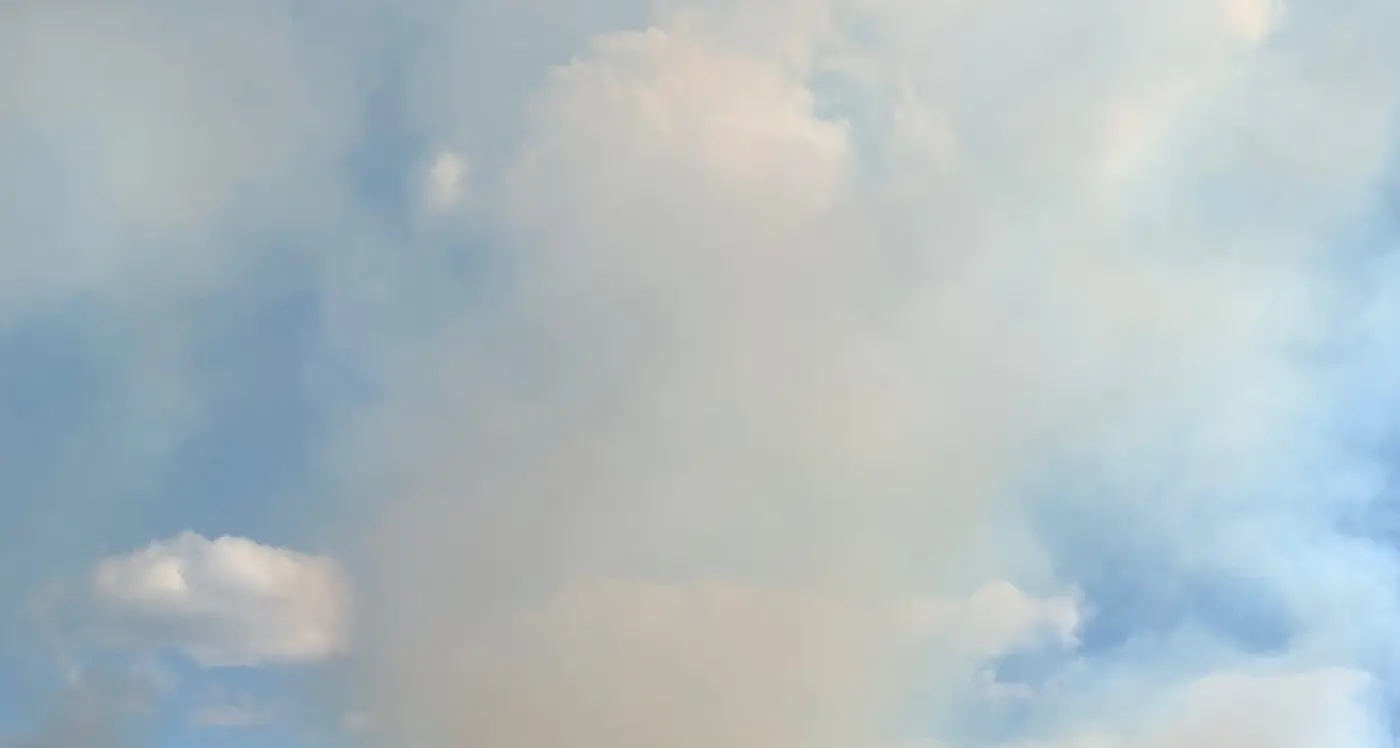 Project making sense of smoke impact on grapes