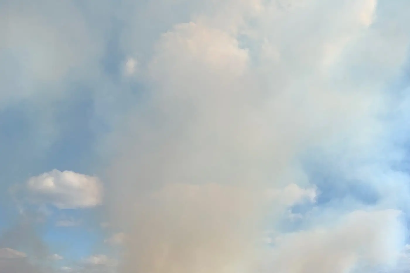 SMOKE PLUME: The new smoke taint detecting sensors have been tested in the field and will be a valuable warning system, helping local growers make an early decision on whether to pick their fruit. PHOTO: Ian Porter 