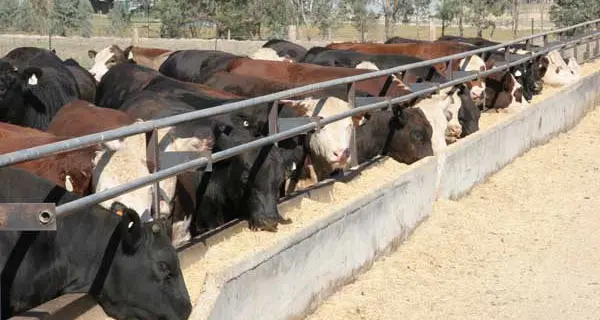 Changes to intensive farming production