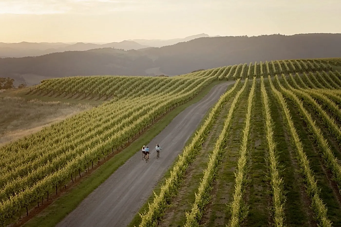 CYCLE CAPITAL: Tourism North East\\'s Dean Cleave-Smith says cycle tourism remains \"an incredibly important\" sector to the local region. Photo: Wmedia/Ride High Country