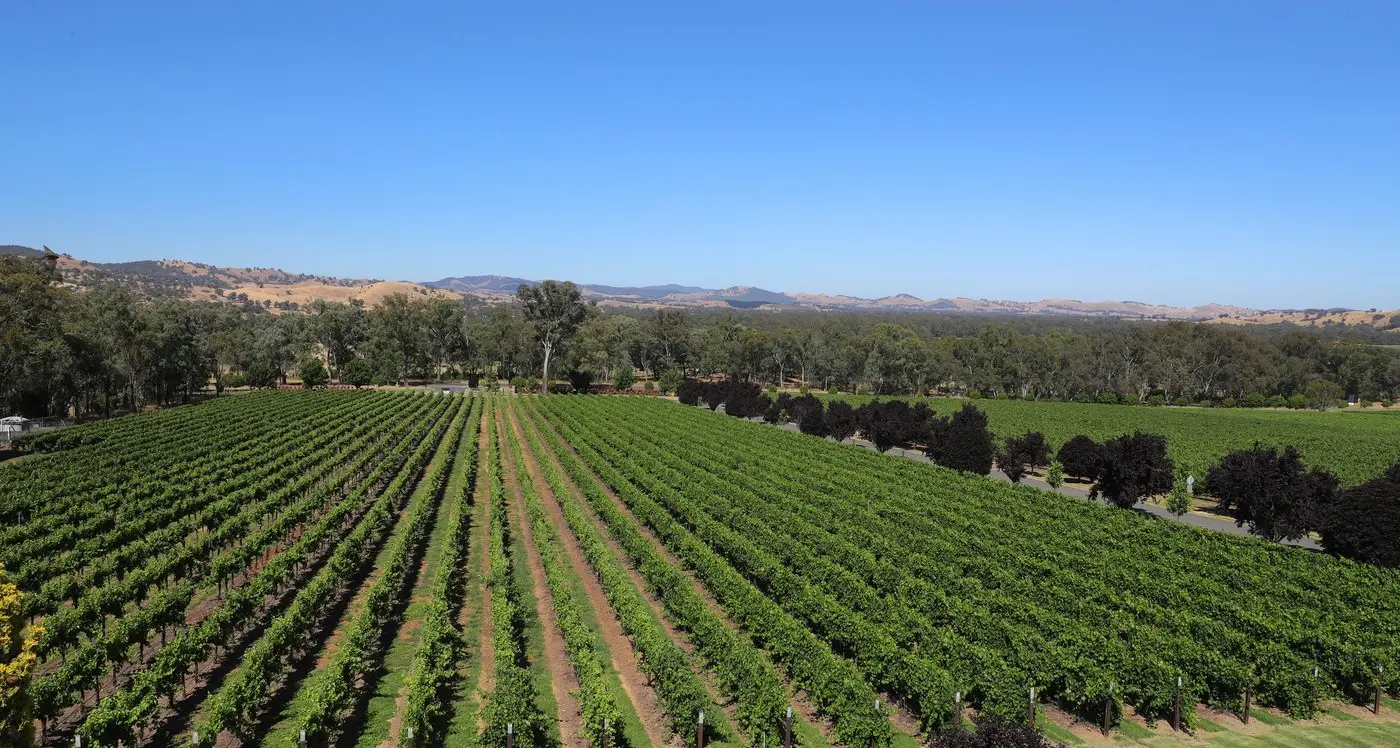 North East wine zone: A bubbly future ahead?