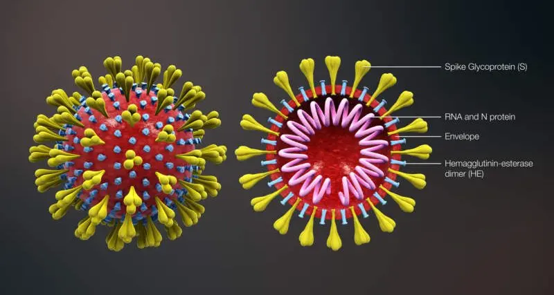 Beechworth Health Service manages worker COVID case