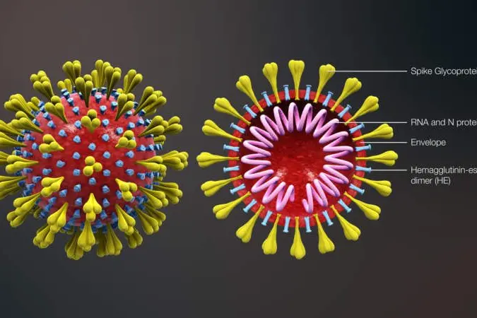 ON ALERT: As case numbers continue to rise in North East Victoria health services urge everyone to keep following the guidelines and getting vaccinated.