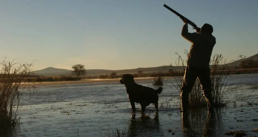 Some duck hunters, protesters breach laws
