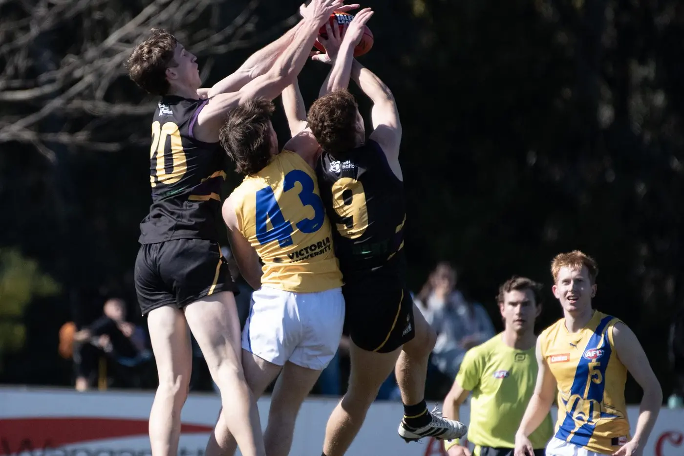 DRAFT AHEAD: Wangaratta\\'s Joe Berry (9) is one of a number of Bushrangers firming to get drafted. PHOTO: Melissa Beattie