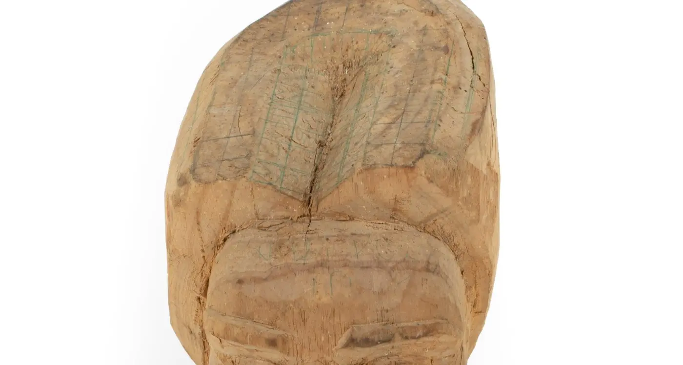 Heads up at the Burke Museum