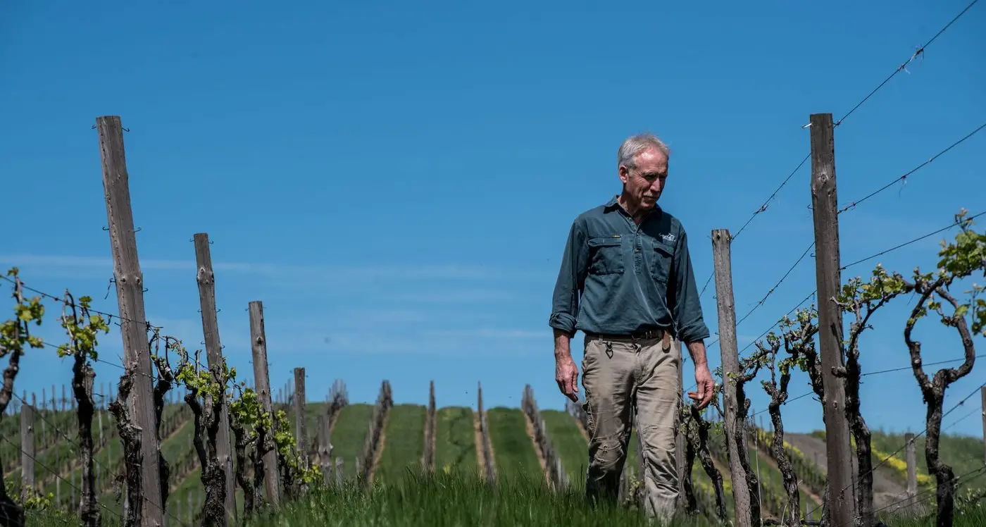 Thinking ahead on climate in North East vineyards