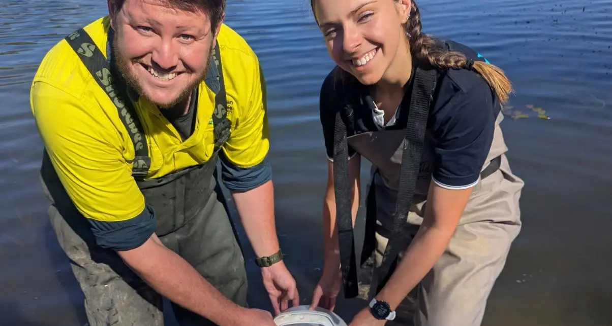 Lake Sambell chosen as new home for catfish