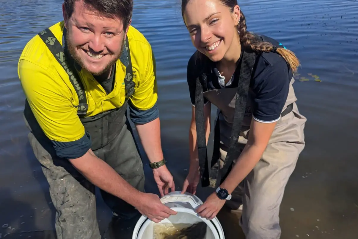 SWIMMING AWAY: VFA\\'s Mark Adams and Isabelle Staples relocating catfish, with nearly 300 of the freshwater species set to be released in Lake Sambell.