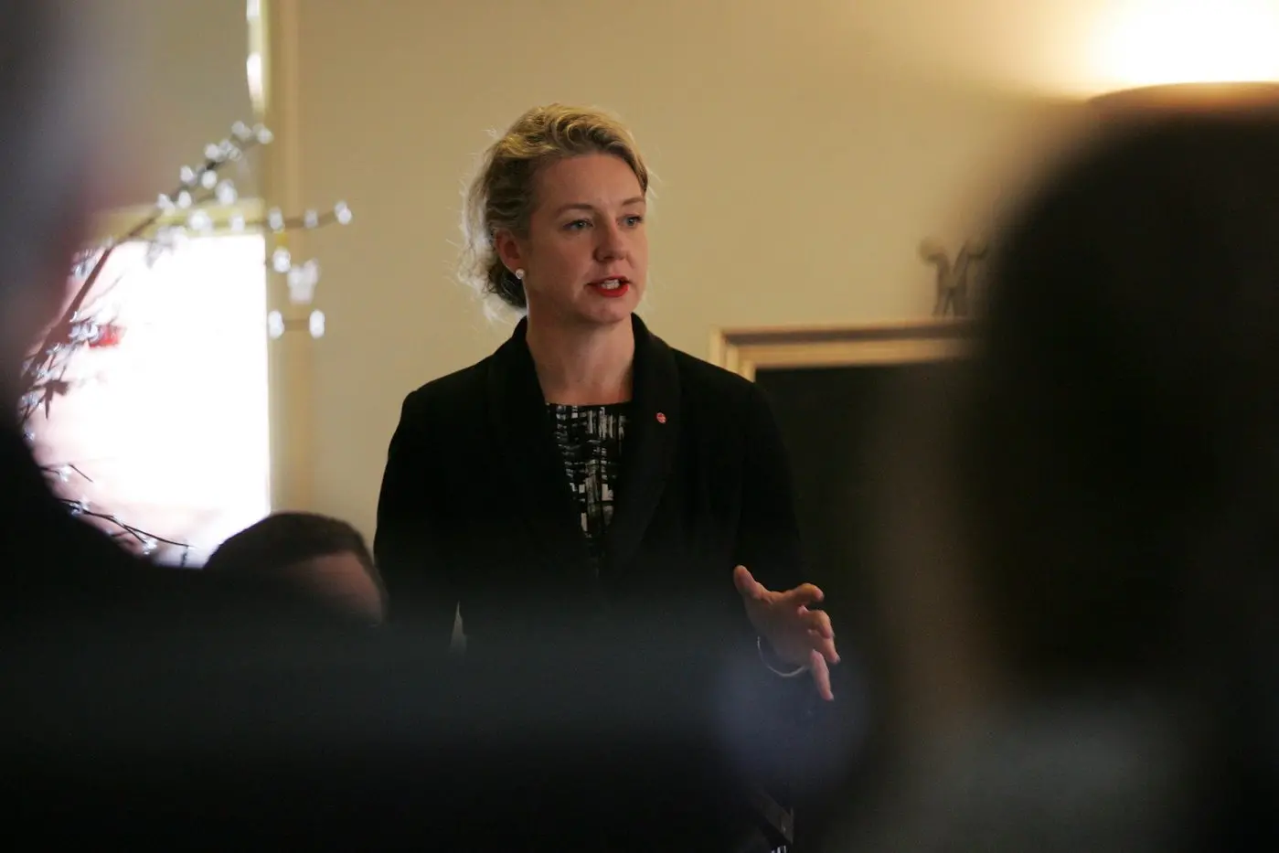 NO FUNDING: Senator Bridget McKenzie reported that no new infrastructure funding programs have been announced for the regions. Id:41125