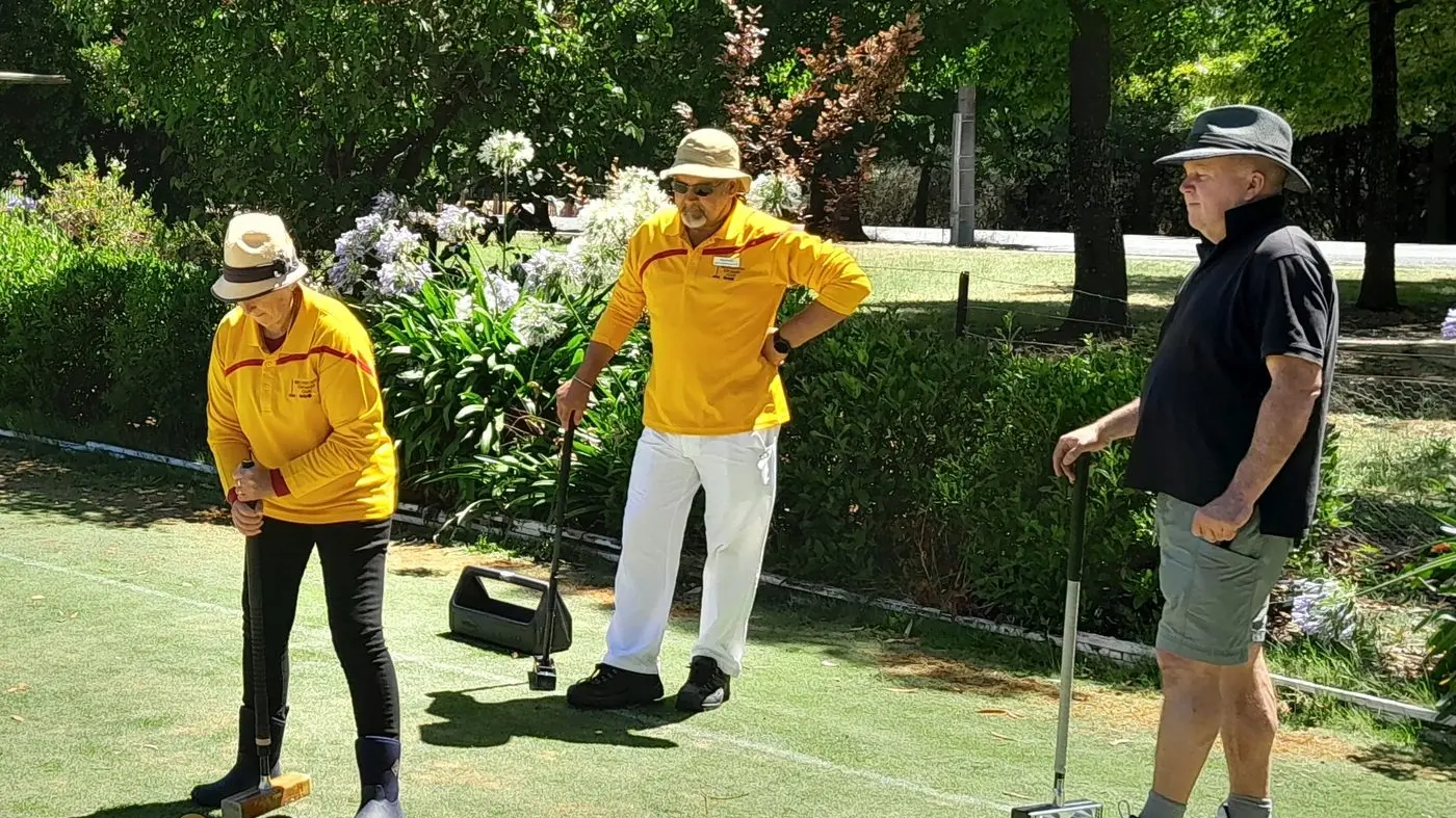 Croquet coaching masterclass