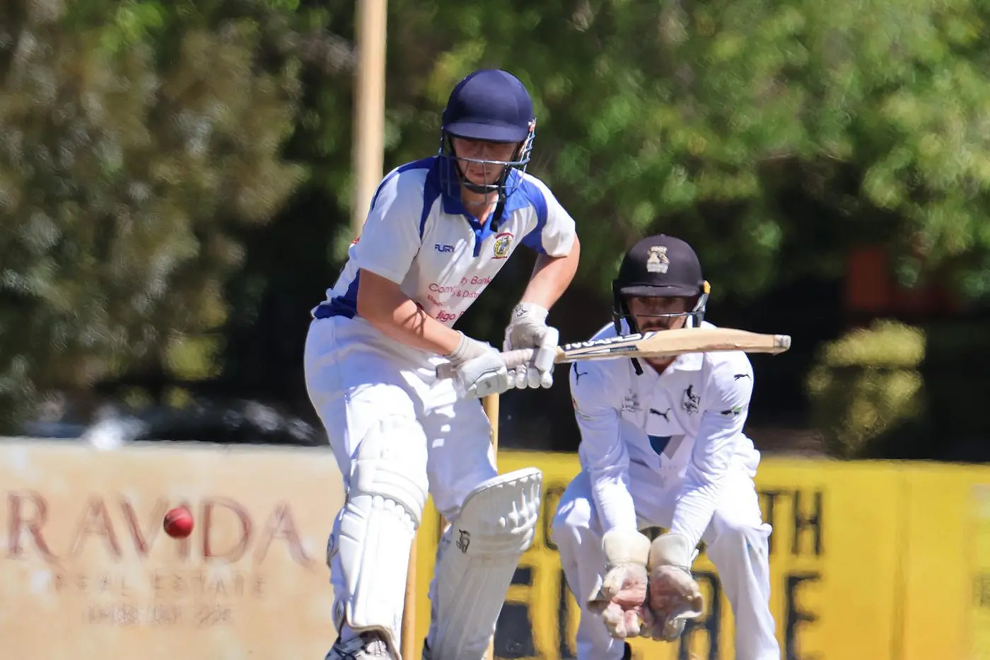 TOILING AWAY: Will Prebble equal top scored with 30 in Beechworth\\'s run chase last weekend against Wangaratta, but it wasn\\'t enough as the Wanderers fell short by 51 runs. PHOTOS: Janet Watt