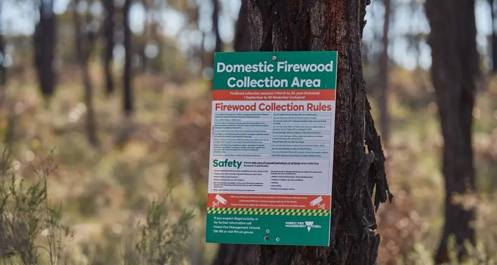 Firewood collection areas open in state forests on March 1