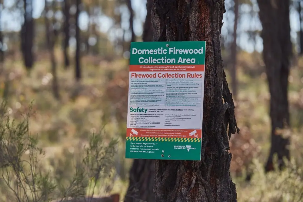 AUTUMN FIREWOOD SEASON: Designated state forest firewood collection areas to open from Saturday, 1 March.