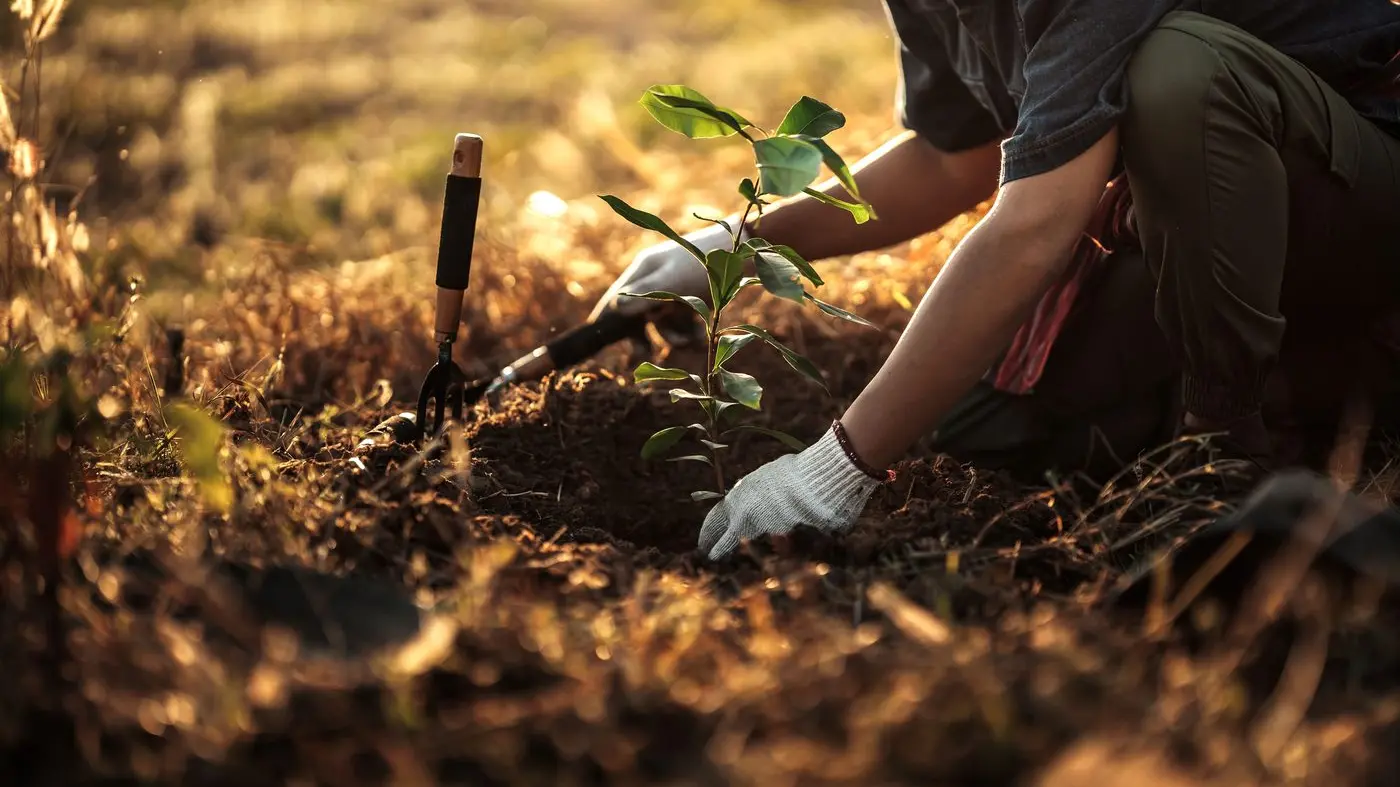 Farmers encouraged to tap into the potential of trees at upcoming forum