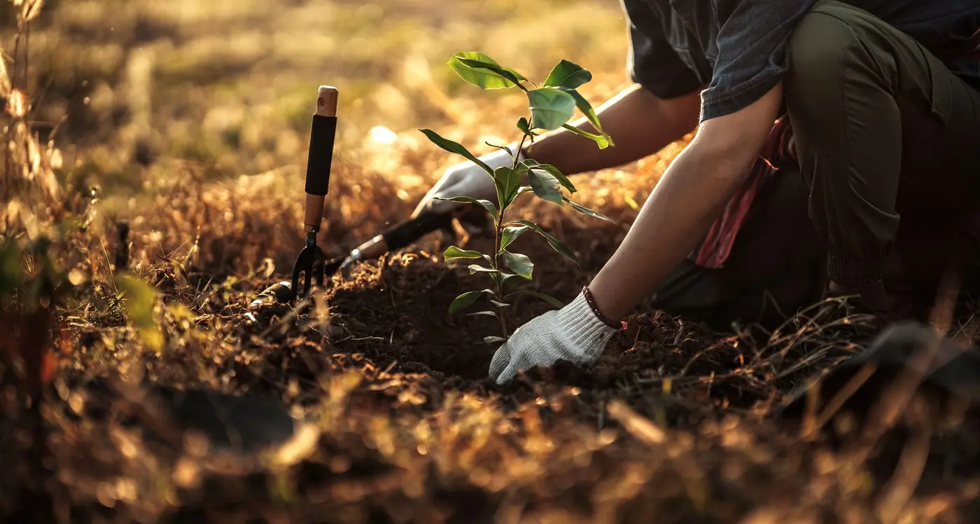 Farmers encouraged to tap into the potential of trees at upcoming forum
