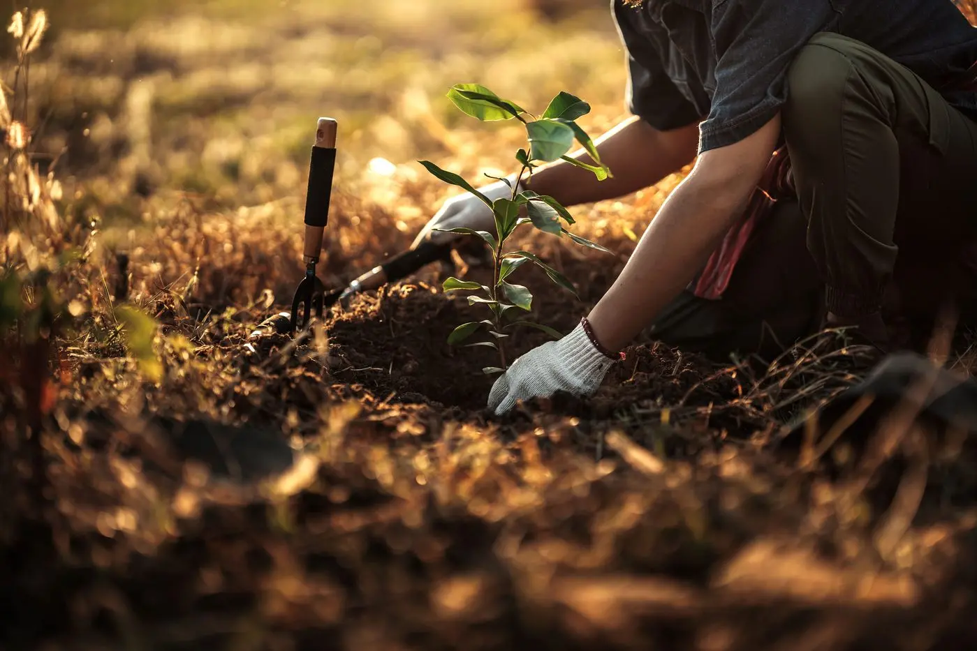 BIODIVERSITY FORUM: Learn about the benefits of integrating trees into farming systems at free local forum. PHOTO: Photo Smoothies/Shutterstock.com