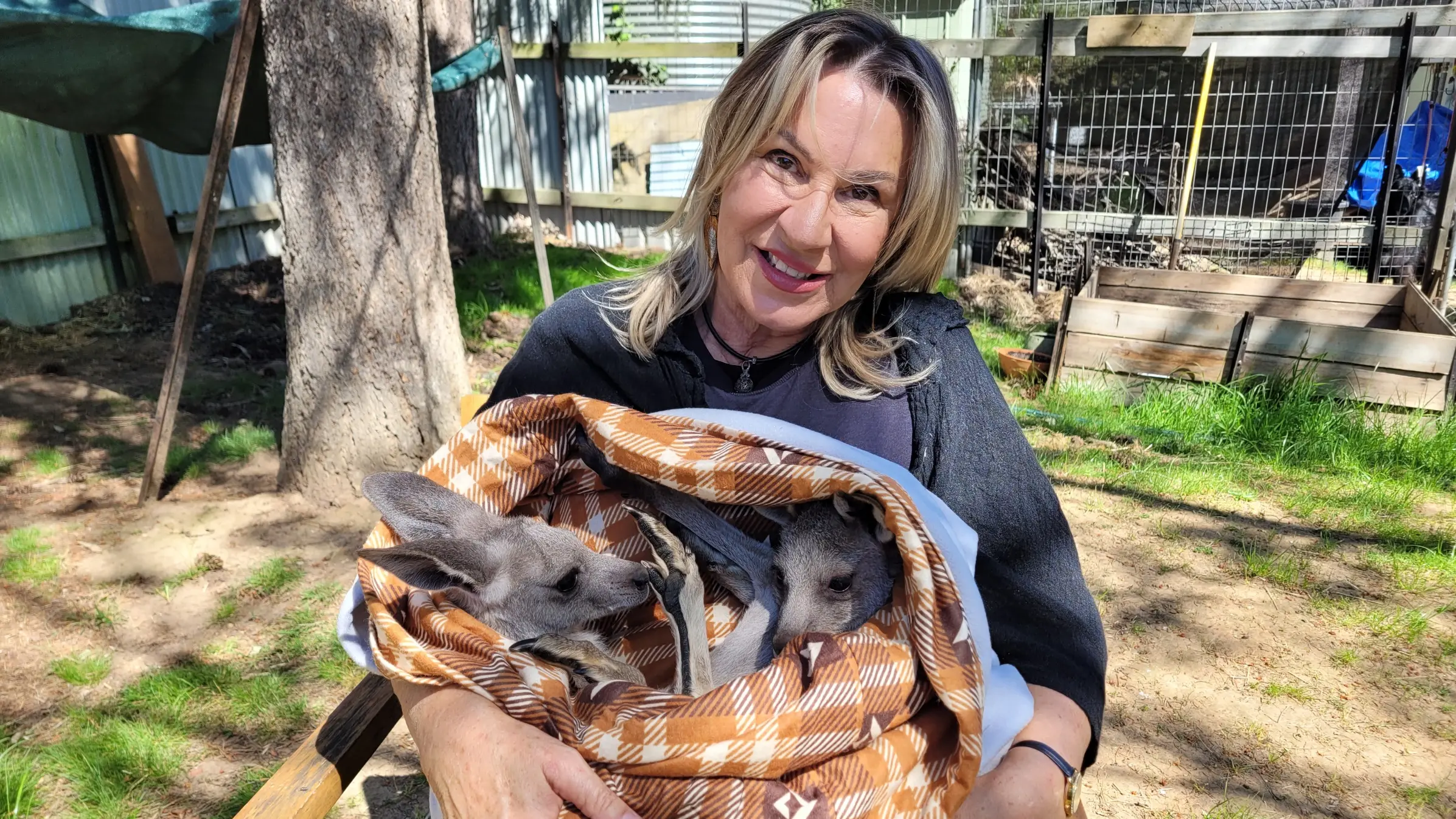 Funding boost for wildlife shelters