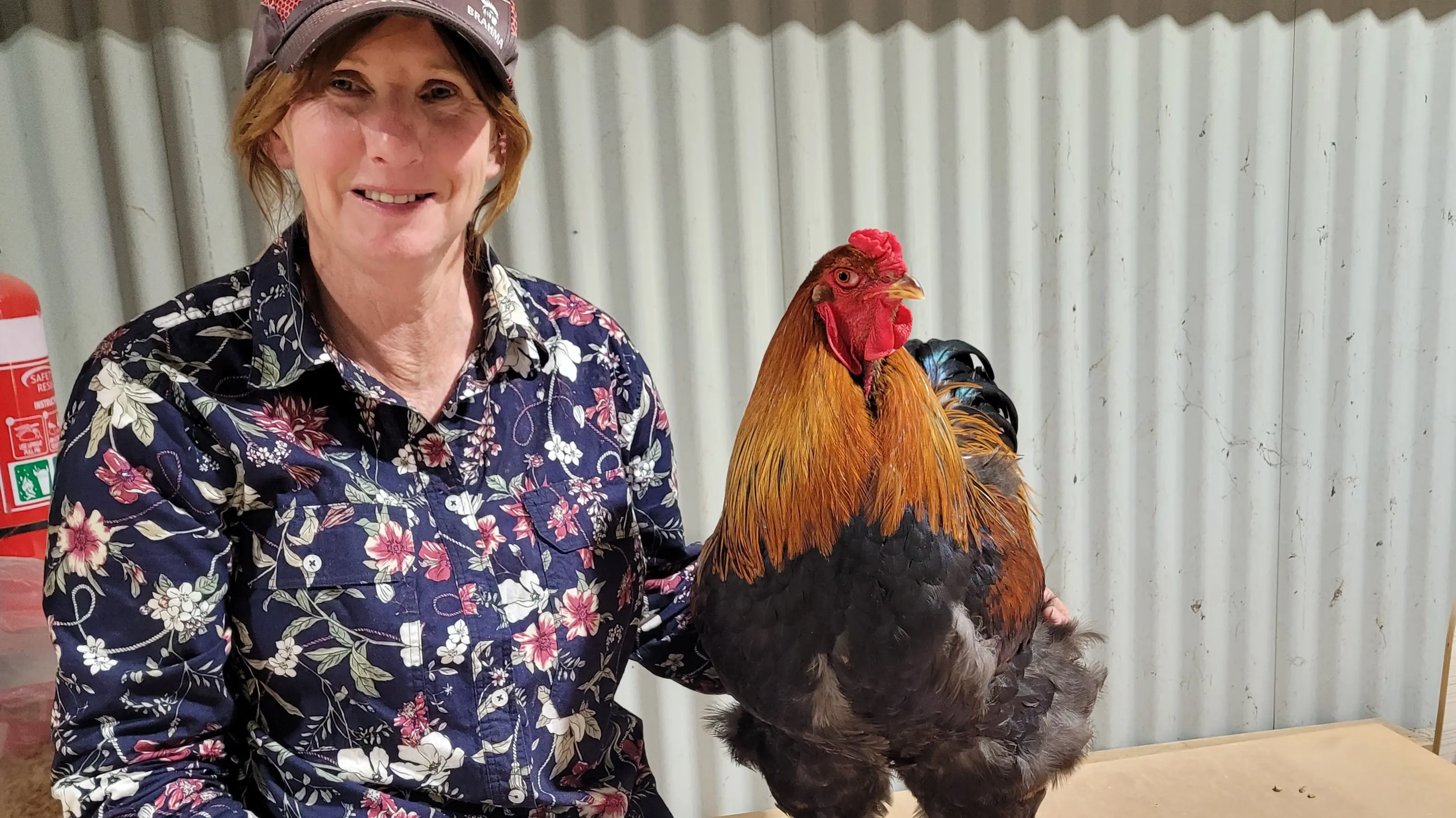 Agricultural show another fabulous success